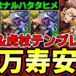 【パズドラ】東堂&虎杖で新万寿攻略‼︎安定はするけど・・・相方ナルハタタヒメの２色２way編成【パズドラ実況】