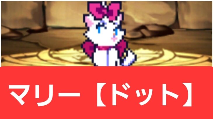 【ディズニーイベント】マリー【ドット】が強すぎてヤバい！！【ぶっ壊れ】【最強】【人権】【環境1位】【新百式】【新千手】【新万寿】【新凶兆】【パズドラ】