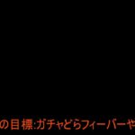 1年ぶりにログインしたパズドラ―のガチャどらフィーバーやってみた。