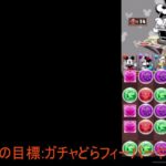 1年ぶりにログインしたパズドラ―のガチャどらフィーバーやってみた。