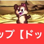 【ディズニーイベント】チップ【ドット】が強すぎてヤバい！！【ぶっ壊れ】【最強】【人権】【環境1位】【新百式】【新千手】【新万寿】【新凶兆】【パズドラ】