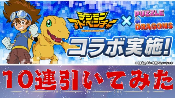 【パズドラ】デジモンアドベンチャーコラボガチャを引いてみた。【10連】