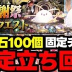 【大感謝祭クエスト】全階層ド安定立ち回り！絶対勝てる！固定チームで魔法石100個を回収しよう！全階層立ち回り完全解説！【パズドラ】