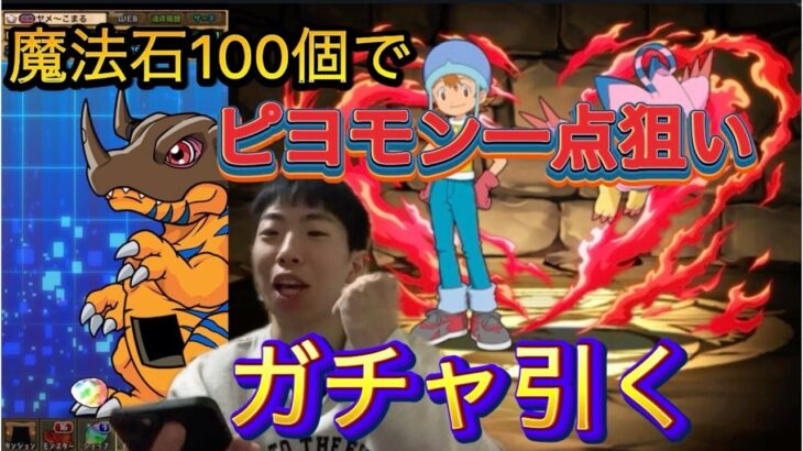 【パズドラ】デジモンアドベンチャーコラボガチャ引く！魔法石100個貰ったから武之内空&ピヨモン一点狙いガチャ引く！／ヤメ〜こまる【デジモンコラボ】