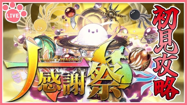 【パズドラ】大感謝祭11月クエストを初見攻略！【雑談】