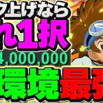 【最新版】1周19分で30億経験値！太一編成はこれが最強確定です！十億チャレンジ周回編成【パズドラ】