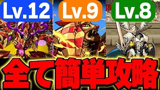 11月のチャレンジLv.12はこれで簡単に攻略可能！！Lv.9 Lv.8の固定チームについても立ち回り解説！！【デジモンコラボ】【パズドラ実況】