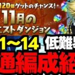 【11月のクエスト】Lv11〜14ジノ共通編成！低難易度編成で魔法石を大量回収しよう！代用＆立ち回り解説！【パズドラ】