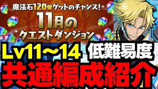 【11月のクエスト】Lv11〜14ジノ共通編成！低難易度編成で魔法石を大量回収しよう！代用＆立ち回り解説！【パズドラ】