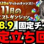 【11月のクエスト】Lv8.9固定チーム！ド安定立ち回り解説！【パズドラ】