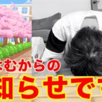 【実況】久しぶりの2人動画！【パズドラ】