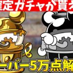 ディズニーイベントフィーバーで5万点を取る方法を解説！完全攻略して確定ガチャを回そう！！【パズドラ】【ディズニーコラボ】【ランダン】