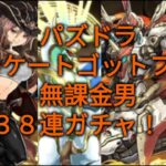 ゼロから始めるパズドラライフ#9　アンケートゴットフェスガチャ動画！　　#パズドラ部 　#パズドラ  #ゲーム実況者 　#ゲーム実況 #ガチャ動画