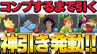 最強キャラGET！！新キャラ狙って引いたらめちゃ神引きできた！！【ディズニーイベント】【パズドラ実況】