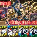 『謀略の狂戦士 超絕壞滅級』周回編成 【パズドラ】【Puzzle & Dragons】