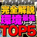 環境最強リーダーランキングTOP5！今のパズドラって誰が強いの？デジモンvsディズニー！【パズドラ】