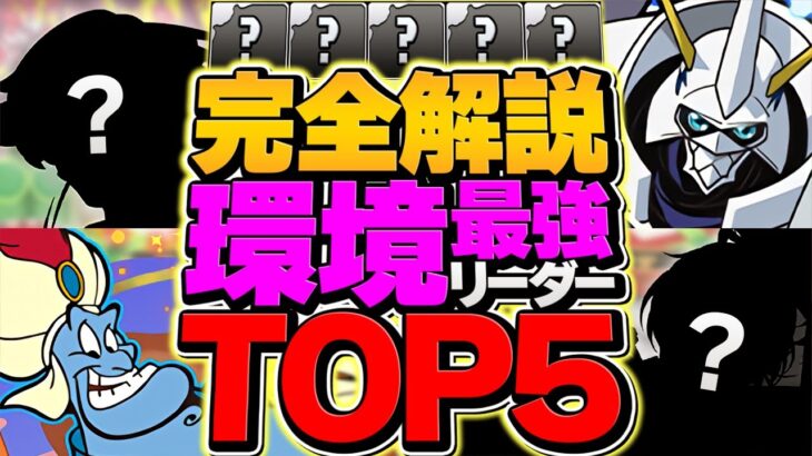 環境最強リーダーランキングTOP5！今のパズドラって誰が強いの？デジモンvsディズニー！【パズドラ】