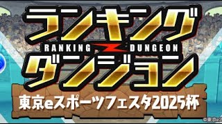 【パズドラ】ランキングダンジョン（東京eスポーツフェスタ2025杯）　上位5%以内　280000点↑立ち回り