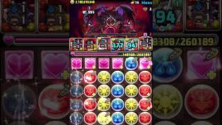 【パズドラ】神楽姫杠葉　使いたいな って思いました。#shorts＃ガンホーコラボ