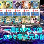 【パズドラ】零次元の創造主をバレンタインノアで周回！ミッキーのおかげでずらしのみで超楽周回！