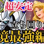 【十億チャレンジ】環境最強オメガモンとオーロラ姫の相性抜群！火力と回復安定してて最高！立ち回り解説！【パズドラ】