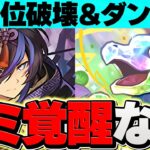 【運営エアプ説】部位破壊とダンボ覚醒が、ゴミすぎる件について。【パズドラ】