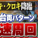 【シロキセイリュウ降臨】ネロミェールループで攻略！シロキとクロキ確保用両パターン編成！【パズドラ】