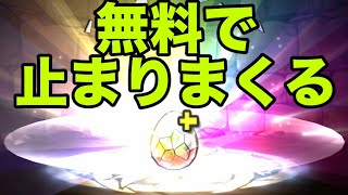 溜めまくったスーパーゴッドフェスを全開放する男【パズドラ】