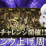 【パズドラ・プロスピ】十億チャレンジとイベント消費【暁湊翔】