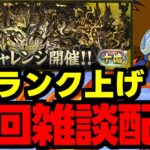 【生放送】十億チャレでランク上げ周回雑談配信!ラストスパート?【パズドラ】