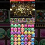 【パズドラ】十億チャレンジ 大王クロミ×ラフィーネキティで突破!!!