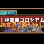 パズドラ配信　神器龍コロシアムやるよ［参加型］