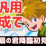 【パズドラ】あのガンコラ低レアキャラが強い!?降臨なのに超重力の扇の君降臨をヤマト汎用編成で初見攻略！