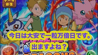 これが大◯◯というヤツか⁉️【デジモンアドベンチャーコラボ】【パズドラ 】#吉日ガチャ