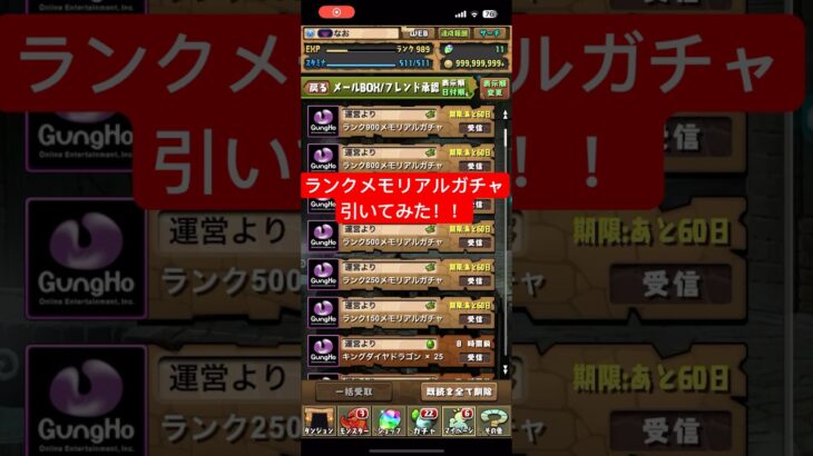 ランクメモリアルガチャ引いてみた‼️ #パズドラ #ランクメモリアルガチャ #ガチャ