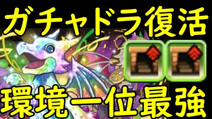 【パズドラ】ガンコラで強化されたガチャドラは環境最強です