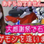 【パズドラ ガチャ】大感謝祭で配布された石でオメガモンを追います！デジモンコラボガチャ！【デジモンアドベンチャー】