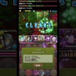 【パズドラ】メガドラゴン杯初日0.1%29.1万↑点まで更新済み