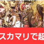 【パズドラ】光エスカマリが強すぎてヤバい！！【ぶっ壊れ】【最強】【人権】【環境1位】【新百式】【新千手】【新万寿】【新凶兆】