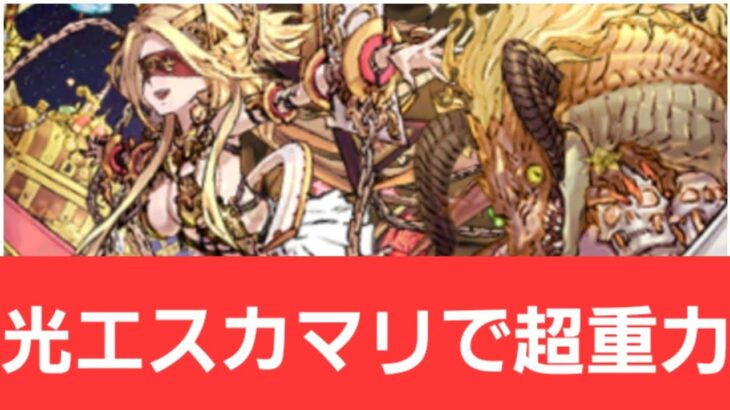 【パズドラ】光エスカマリが強すぎてヤバい！！【ぶっ壊れ】【最強】【人権】【環境1位】【新百式】【新千手】【新万寿】【新凶兆】