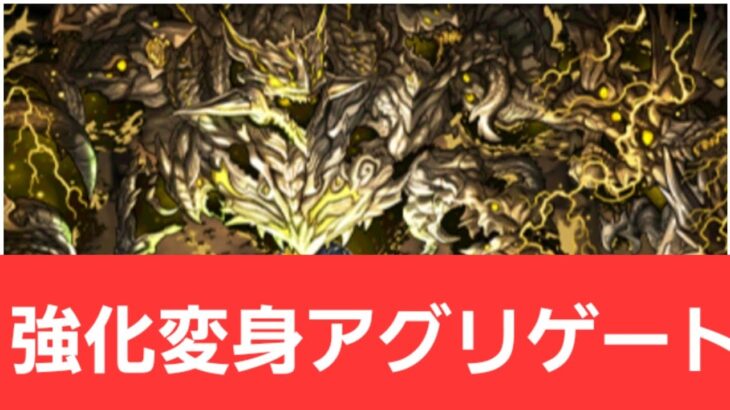 【パズドラ】強化変身アグリゲートが強すぎてヤバい！！【ぶっ壊れ】【最強】【人権】【環境1位】【新百式】【新千手】【新万寿】【新凶兆】