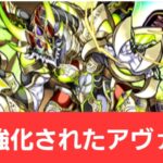 【パズドラ】前に強化されたアヴァロンドレイクが強すぎてヤバい！！【ぶっ壊れ】【最強】【人権】【環境1位】【新百式】【新千手】【新万寿】【新凶兆】