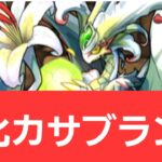 【パズドラ】強化カサブランカが強すぎてヤバい！！【ぶっ壊れ】【最強】【人権】【環境1位】【新百式】【新千手】【新万寿】【新凶兆】