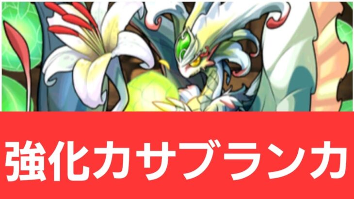 【パズドラ】強化カサブランカが強すぎてヤバい！！【ぶっ壊れ】【最強】【人権】【環境1位】【新百式】【新千手】【新万寿】【新凶兆】