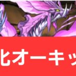 【パズドラ】強化オーキッドが強すぎてヤバい！！【ぶっ壊れ】【最強】【人権】【環境1位】【新百式】【新千手】【新万寿】【新凶兆】