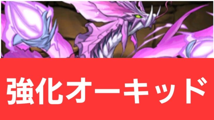 【パズドラ】強化オーキッドが強すぎてヤバい！！【ぶっ壊れ】【最強】【人権】【環境1位】【新百式】【新千手】【新万寿】【新凶兆】