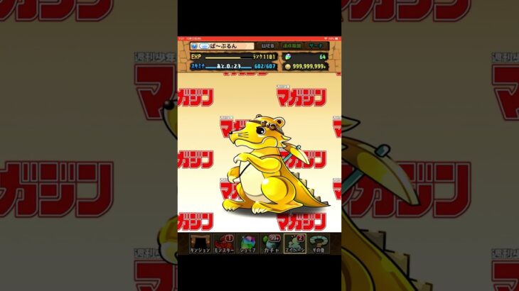 【パズドラ】マガジンコラボガチャ　１日３回引いてみた件　10日目   #パズドラ#マガジンコラボ #ガチャ