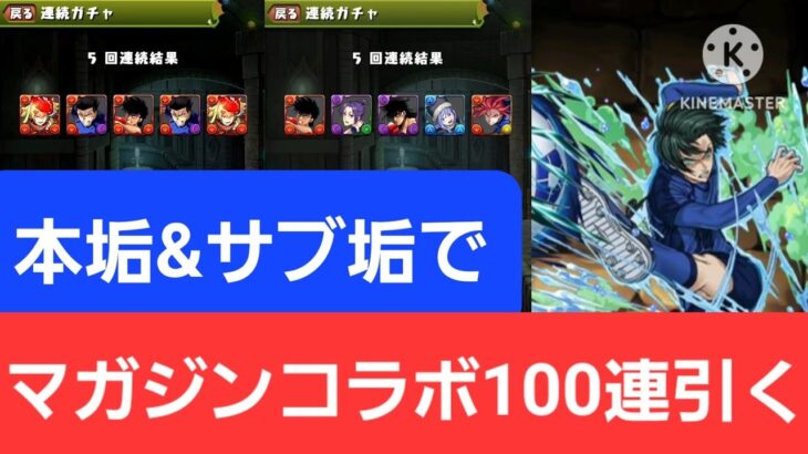 【マガジンコラボ】本垢&サブ垢で100連引く！【パズドラ】