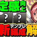 【最強テンプレ】エルザで新億兆攻略！これ組めば誰でも勝てます！1周18-21分で安定！【パズドラ】