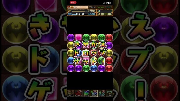 パズドラ　ハロウィン5連